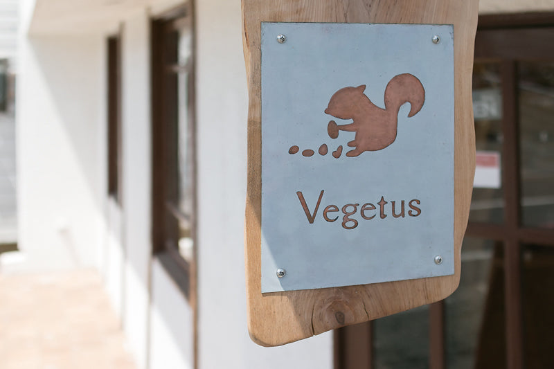 VEGETUSについて